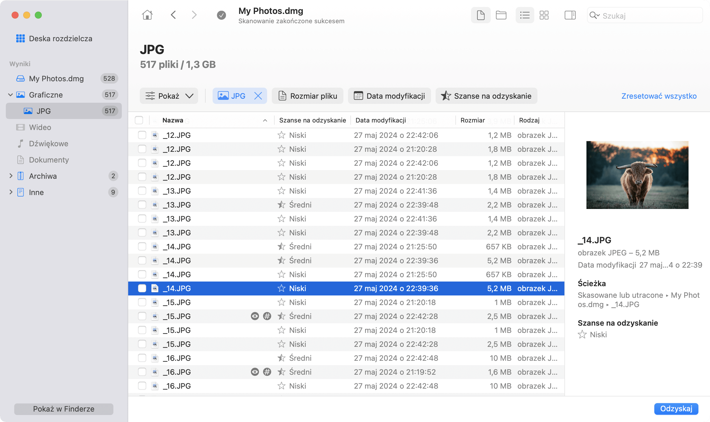 Podgląd usuniętych plików w Disk Drill